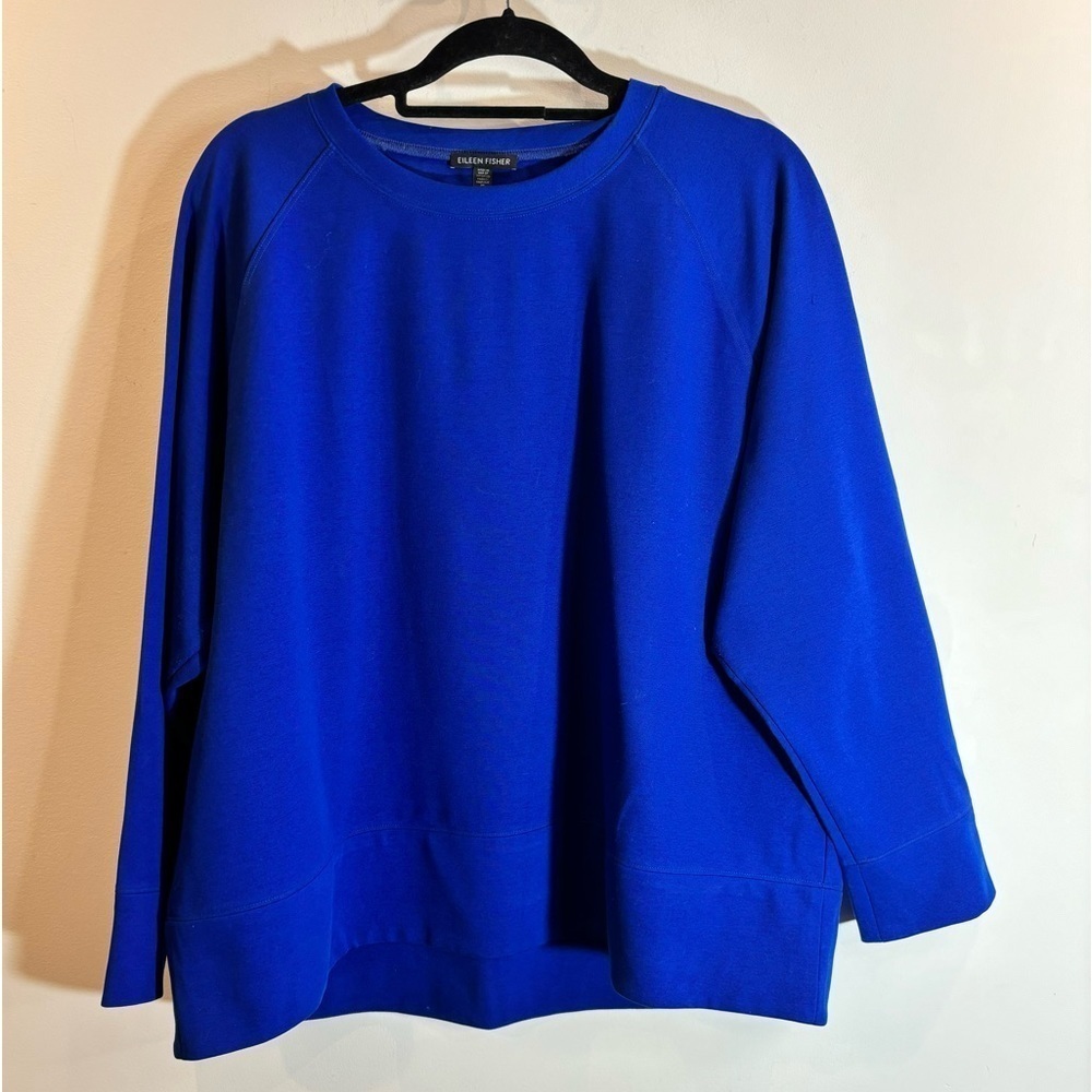 EILEEN FISHER Sz L Boxy Thick Jersey Knit Long Sleeve Crew Neck Top Sweatshirt